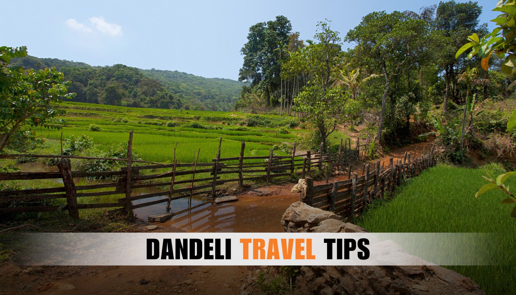 dandeli travel tips for visitors