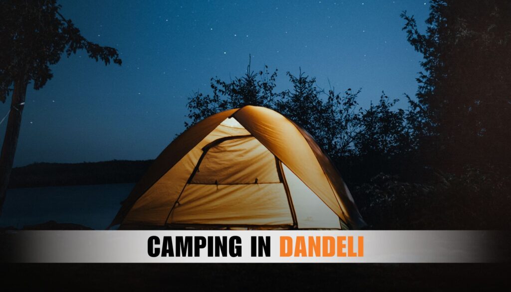 camping in dandeli