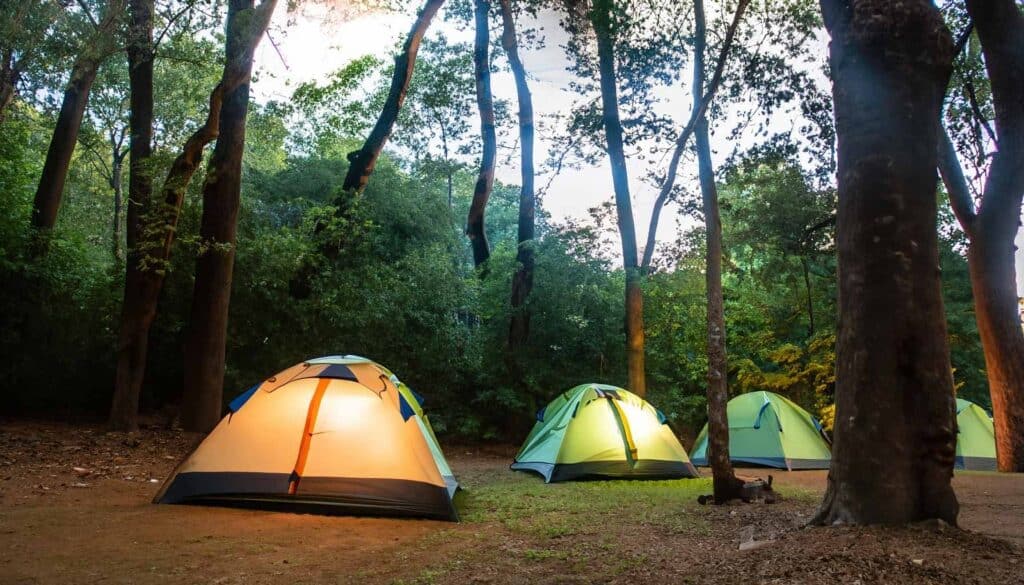 dandeli rainforest camping