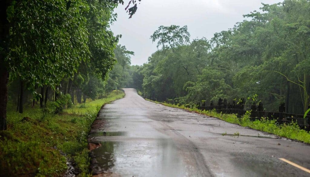 Dandeli in the Monsoon