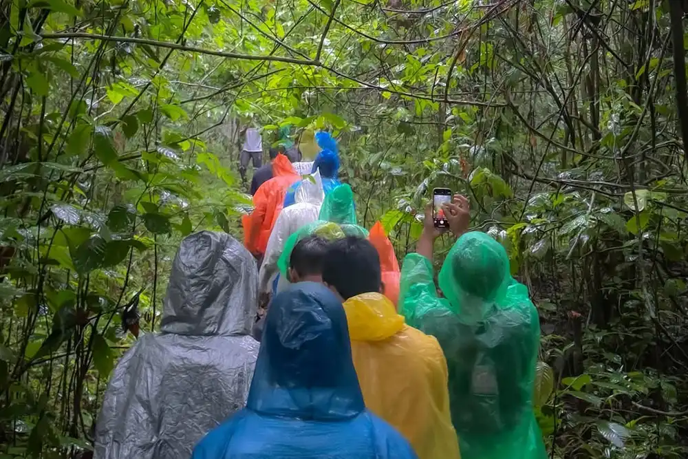 Trekking Trails