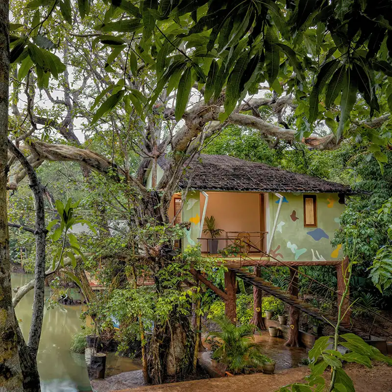 Dandeli nature stay