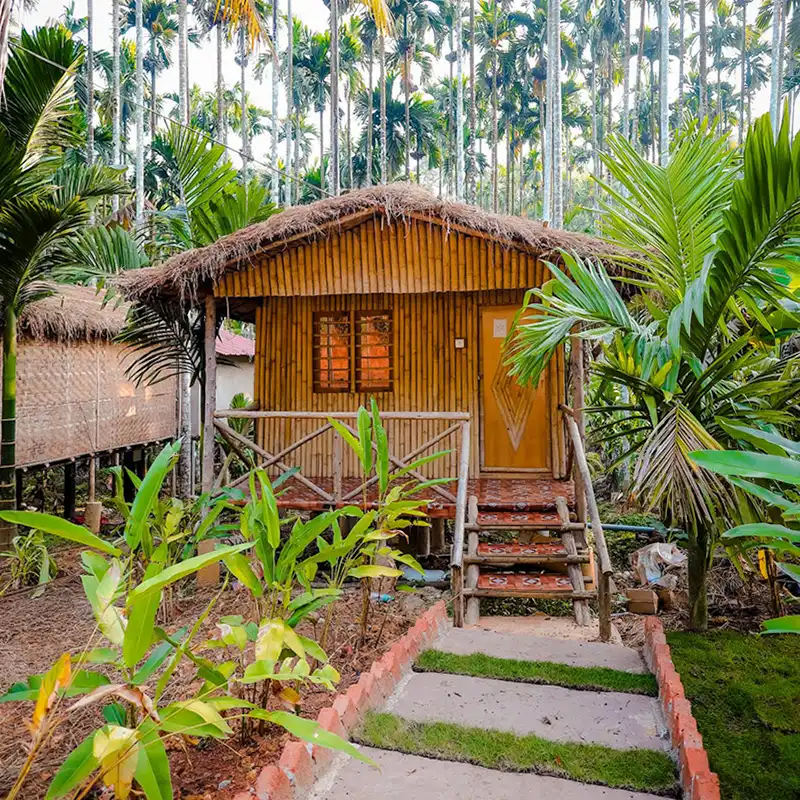 Dandeli Jungle resort