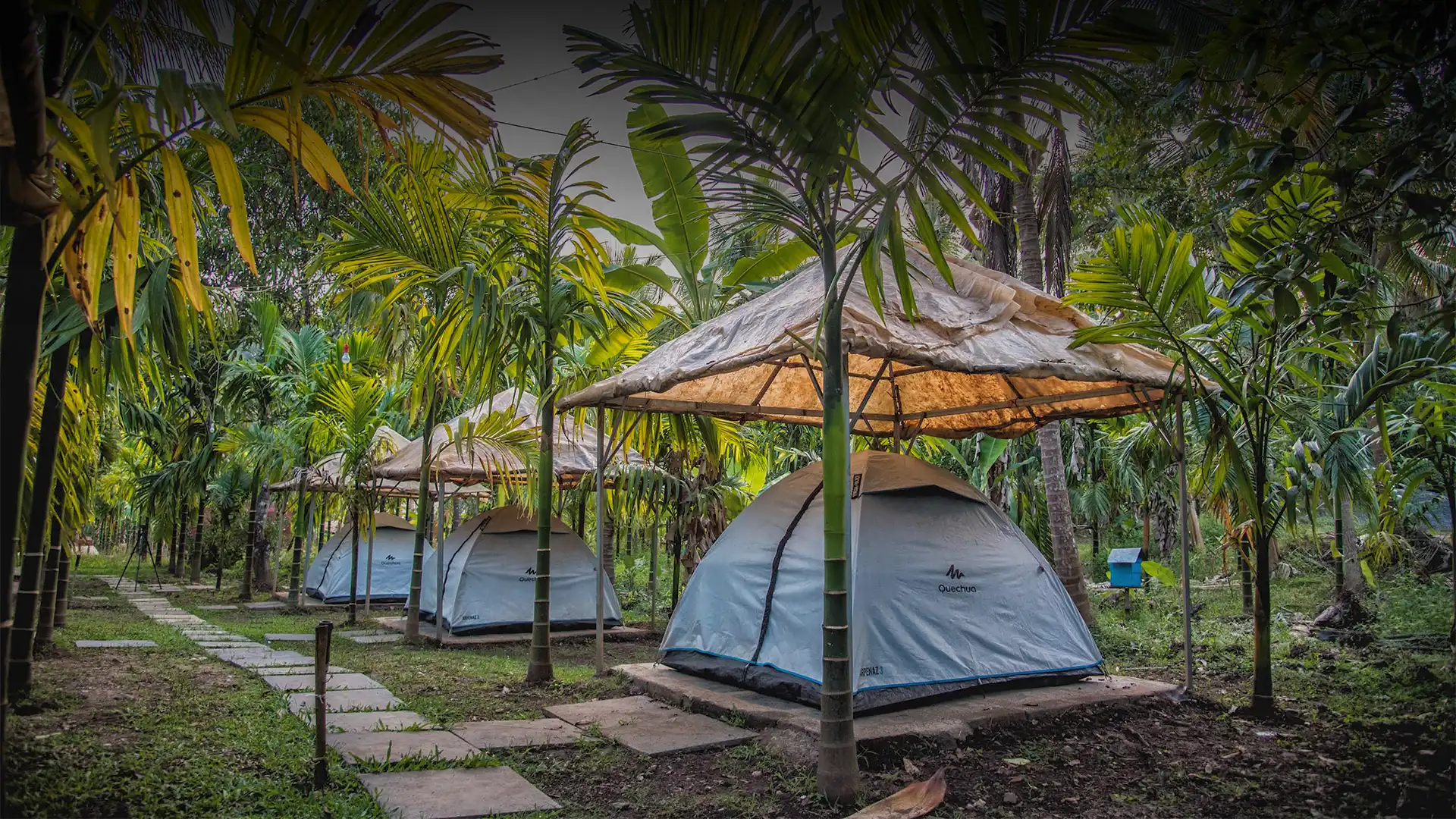 Dandeli Tent Stay