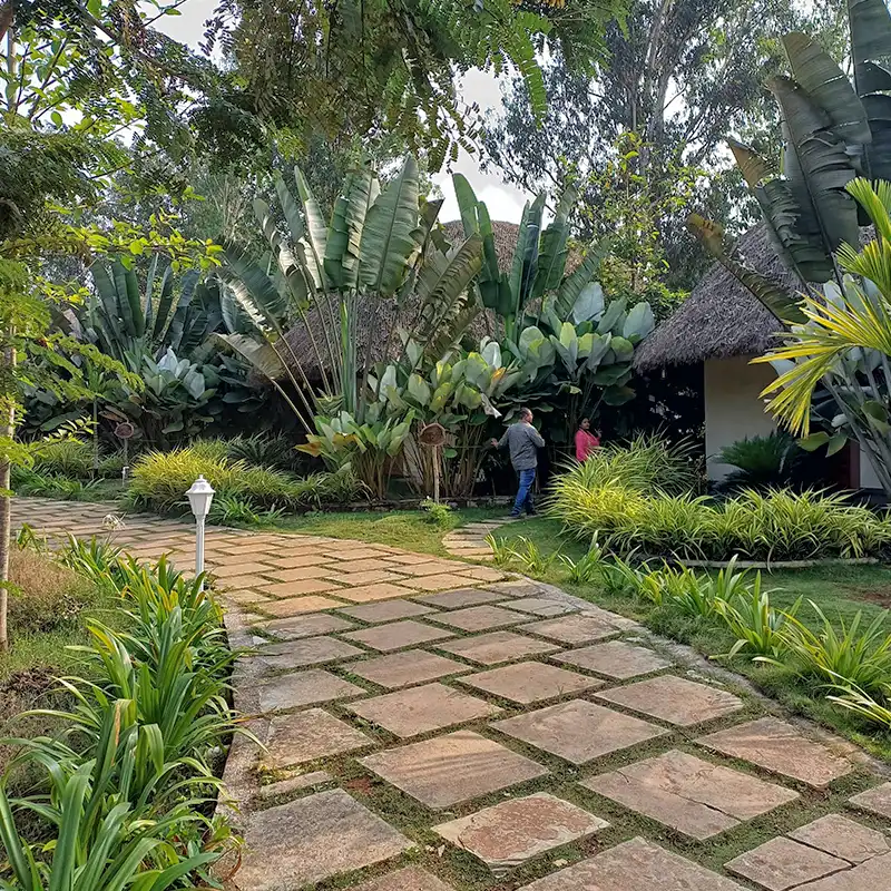 Jungle Stay near River Dandeli