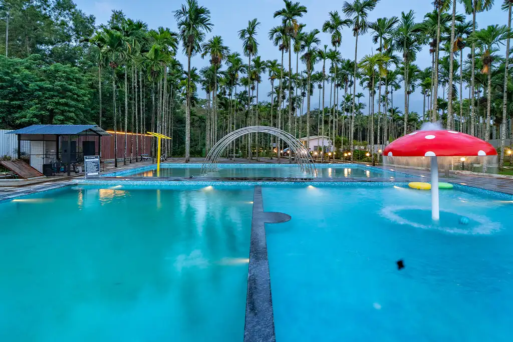 9 Coins Resort Dandeli Swimming Pool