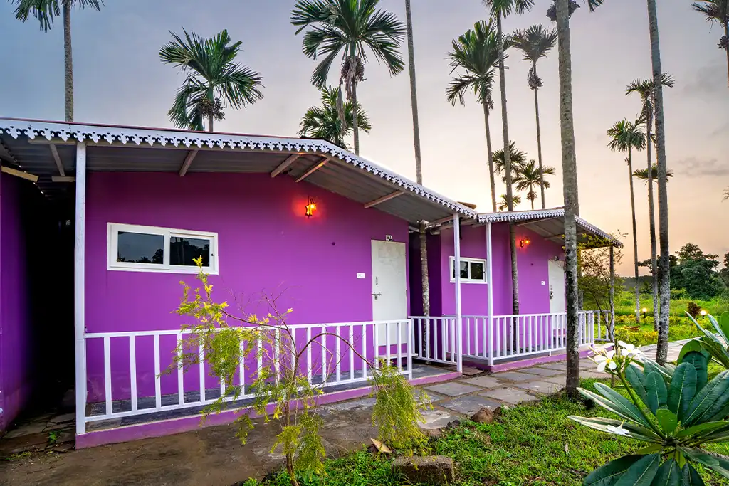 9 Coins Resort Dandeli Rooms