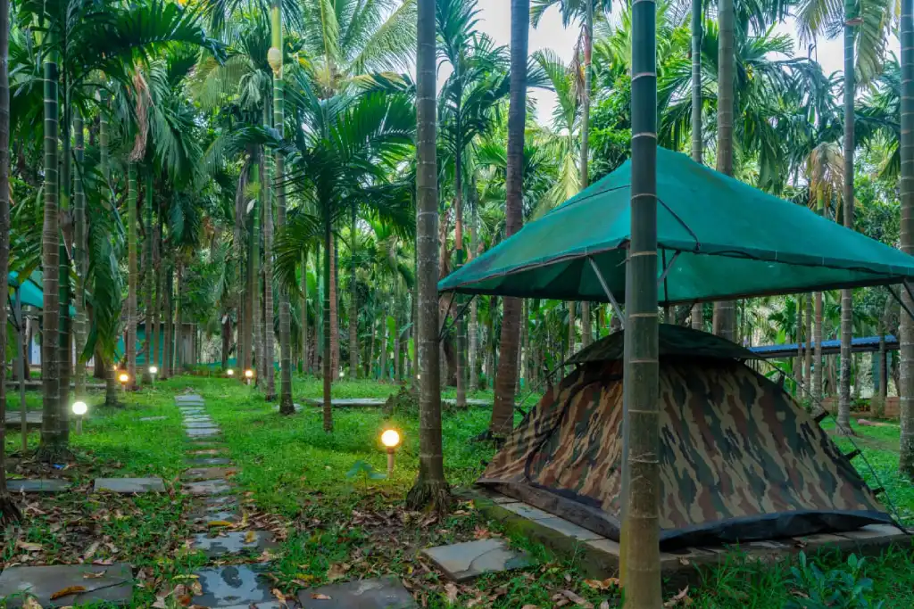 Pepper Paradise Homestay Tent Stay