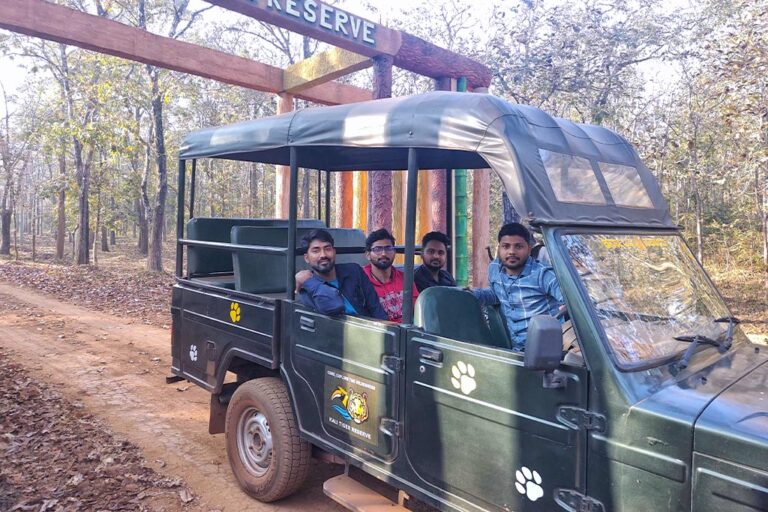 The Perfect Guide to Dandeli Jungle Safari