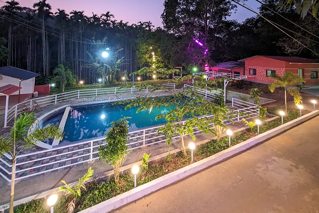 Jungle Stay Night View