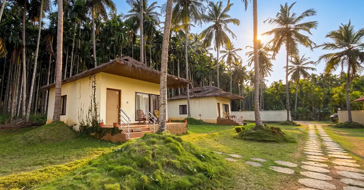 Magenta Resort Deluxe Cottage