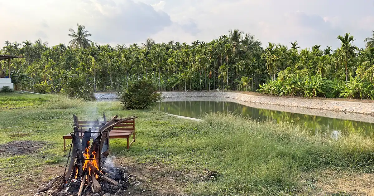 Magenta Resort Lake View