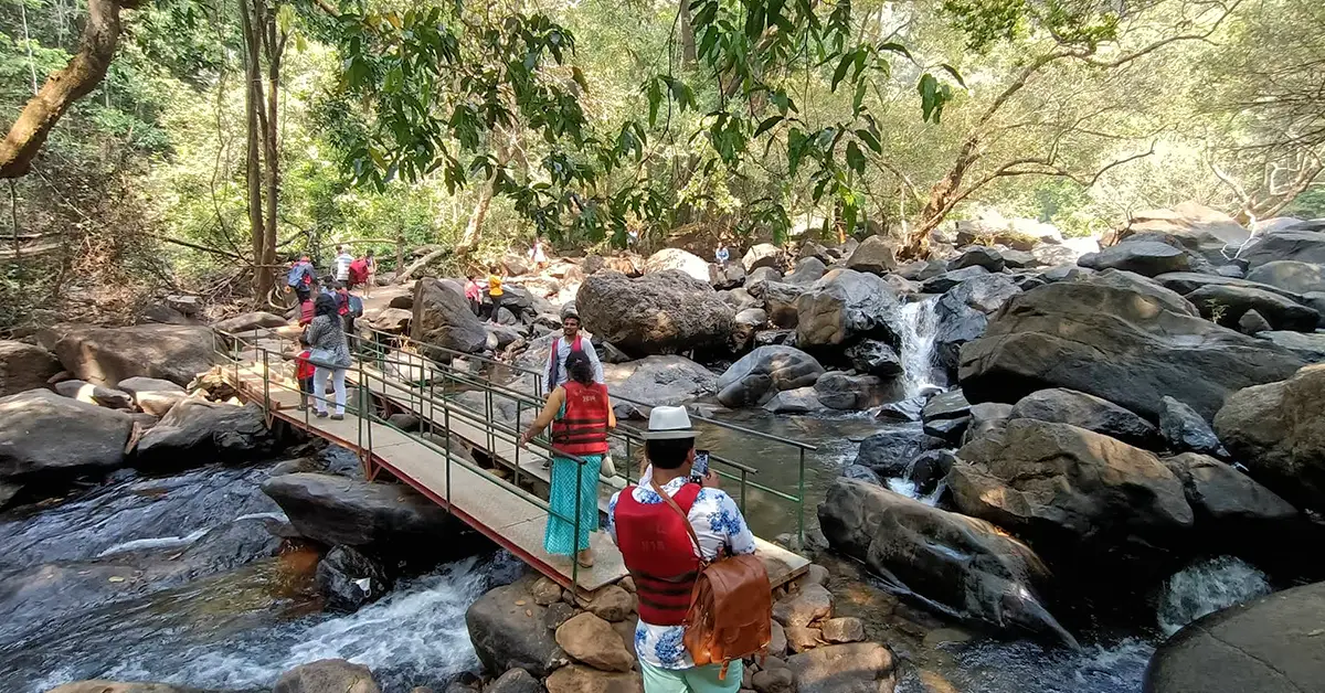 Dudhsagar Waterfall jungle trail