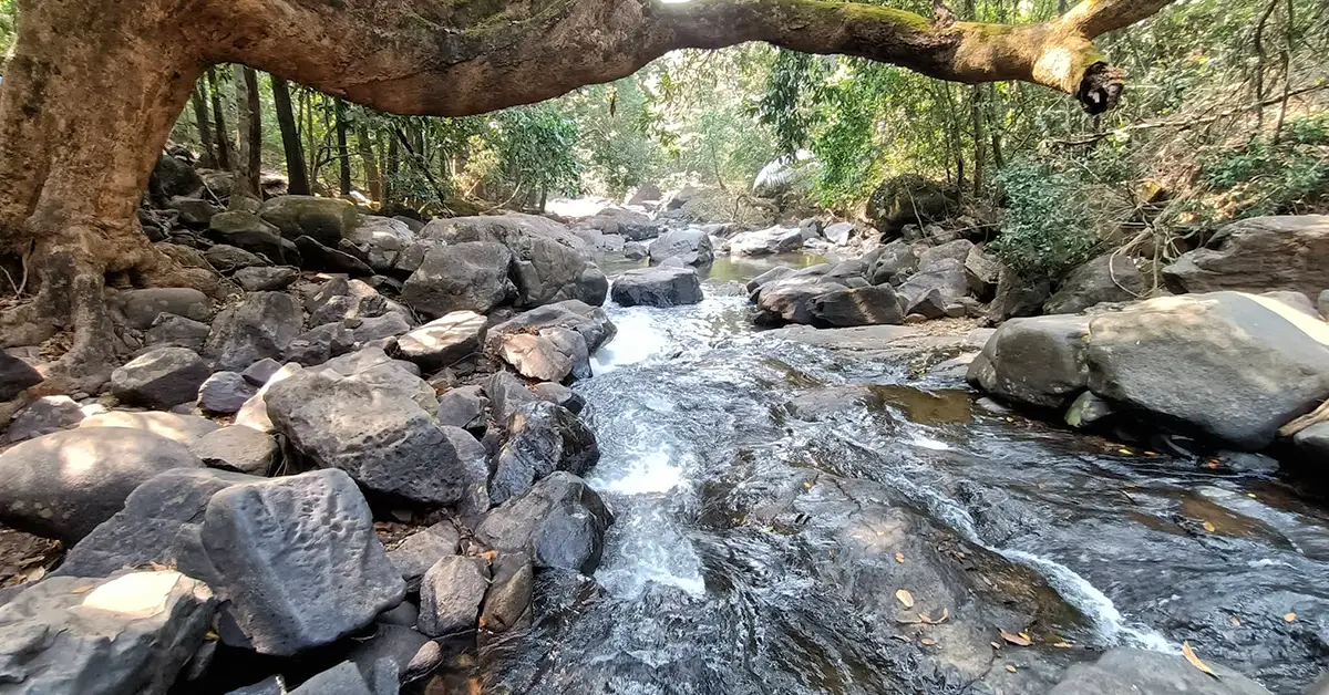 Dudhsagar Waterfall stream