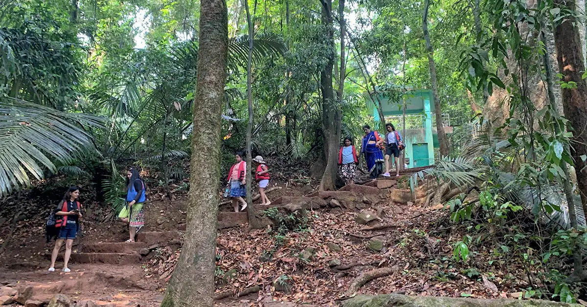 Dudhsagar Waterfall trekking