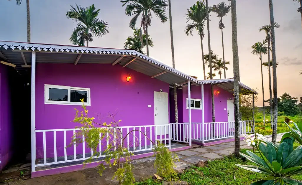 9 Coins Resort Dandeli Rooms