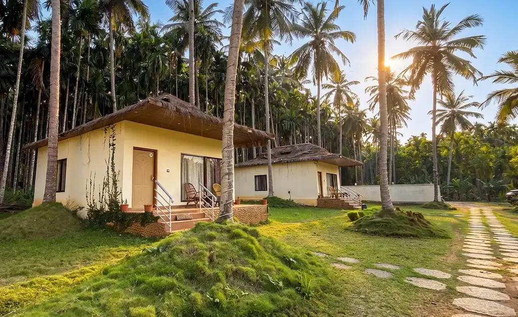 Magenta Resort Deluxe Cottage